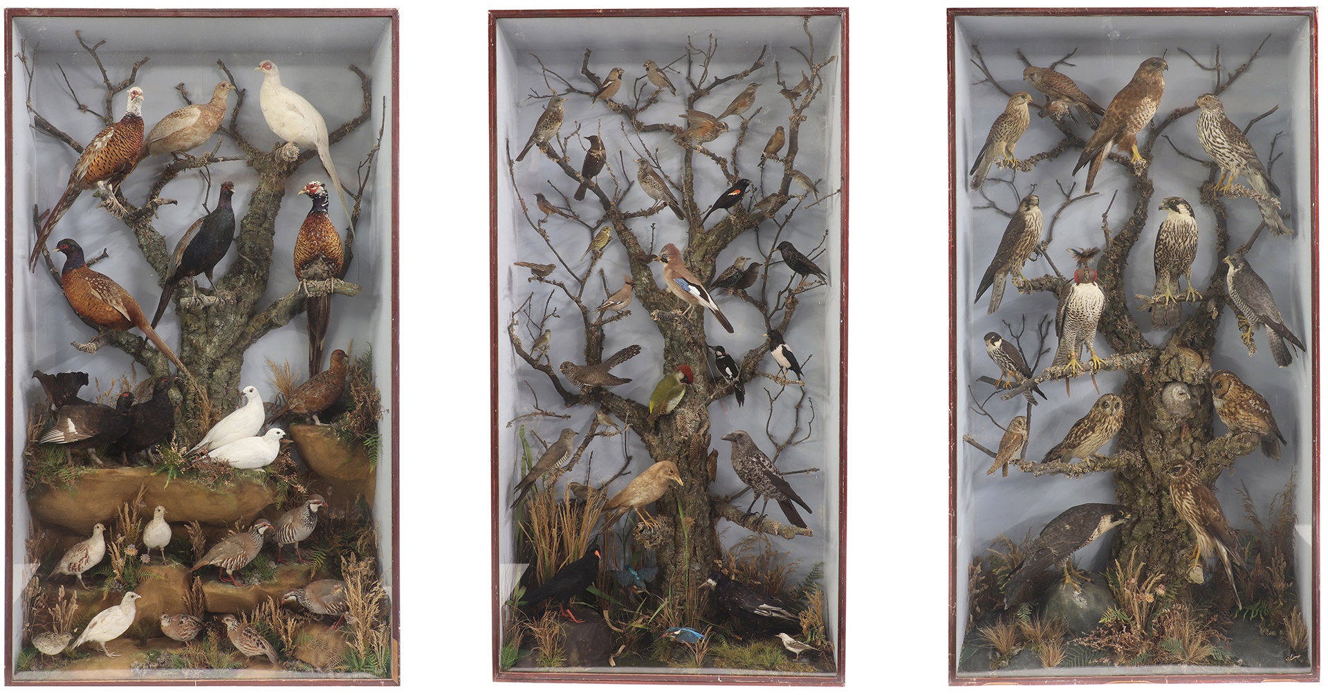 Three Large Taxidermy Displays From Our 30 January Homes & Interiors Sale. All estimated at (£1,500-2,500)